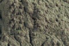 自行式剪叉升降平臺